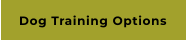 Dog Training Options